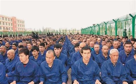 how many muslims are in china camps